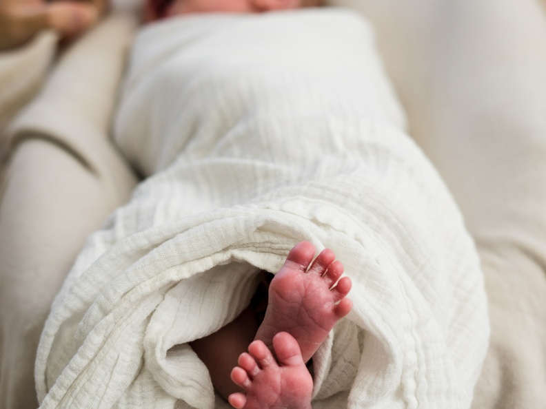Evanstein Family Newborn-185
