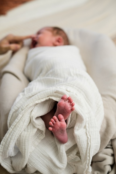 Evanstein Family Newborn-185.jpg