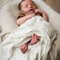 Evanstein Family Newborn-202