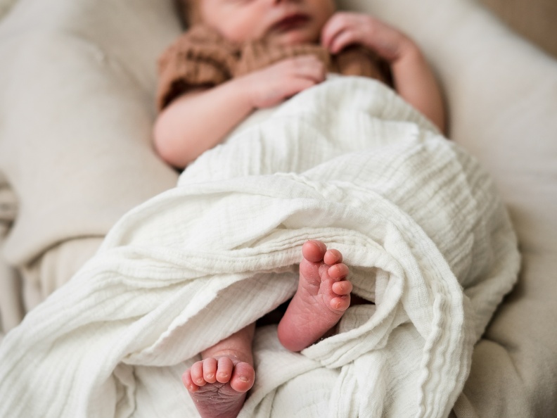 Evanstein Family Newborn-202