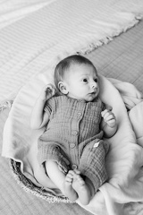 Evanstein Family Newborn BW-56
