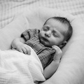 Evanstein Family Newborn BW-201