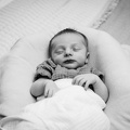 Evanstein Family Newborn BW-203