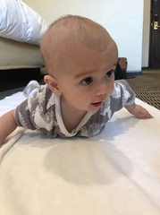 IMG 3604