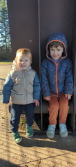 IMG 20250118 105533