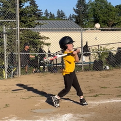 Baseball project